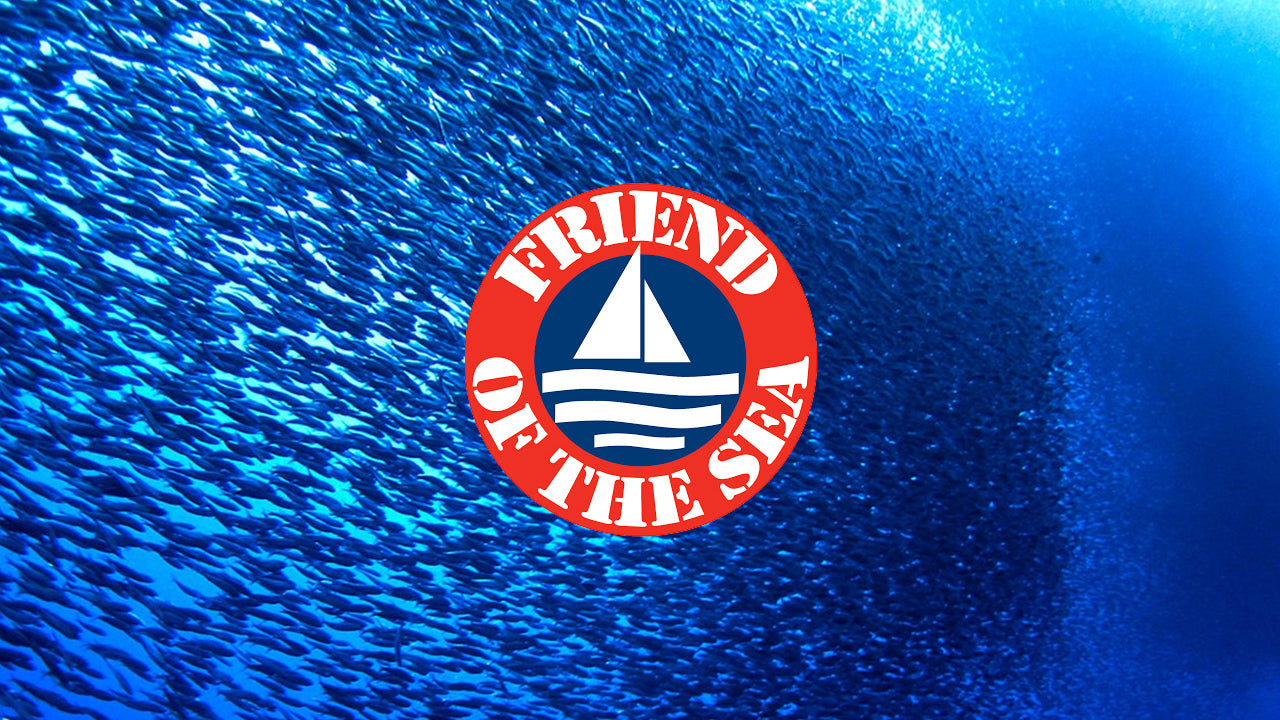 Omega 3 Premium 800mg EPA y 400mg DHA | Salud cardiovascular y claridad mental